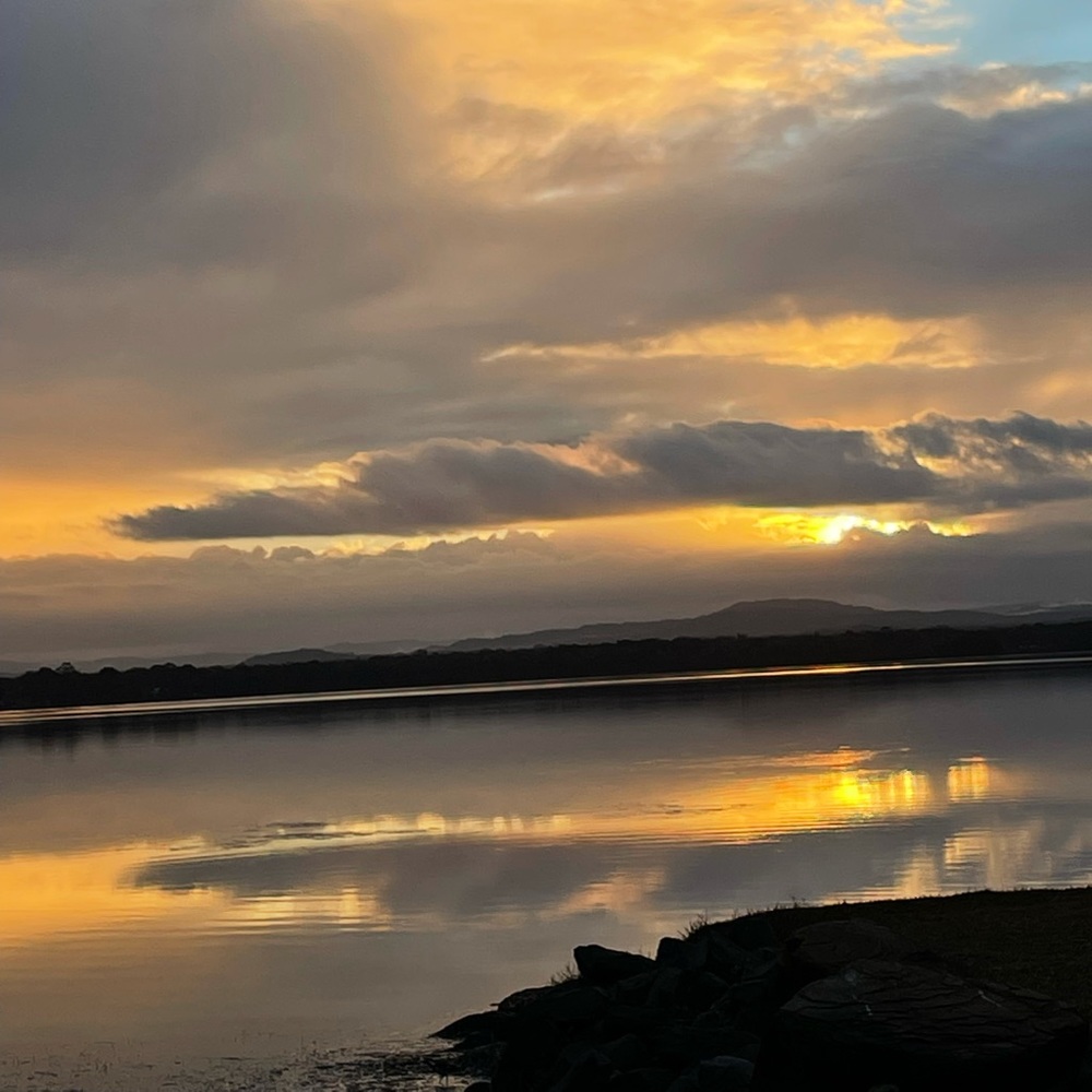 Meet your Posher, Schelly